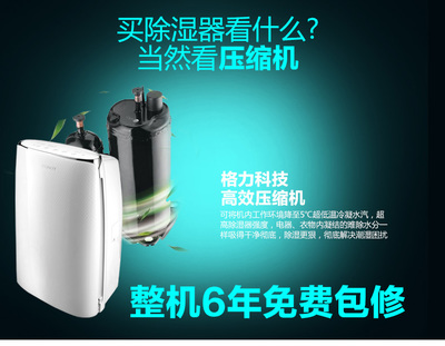 大松DH40EF 家庭智能除湿与高效干衣的理想之选